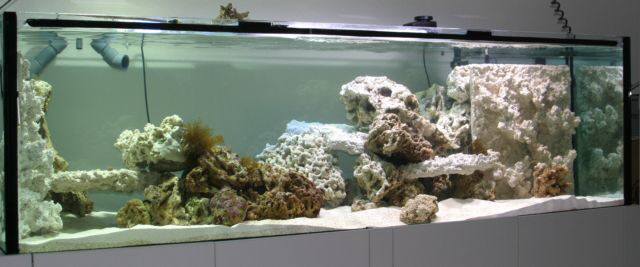 AquariumAnsicht AquariumAnsicht